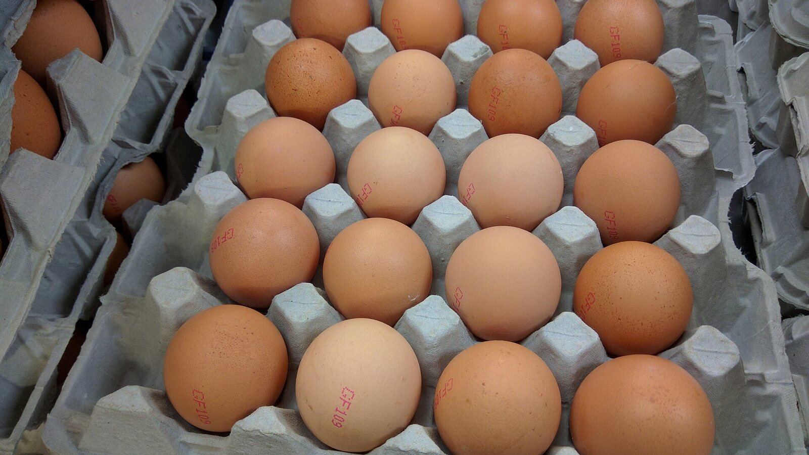 Fresh table eggs, graded trays