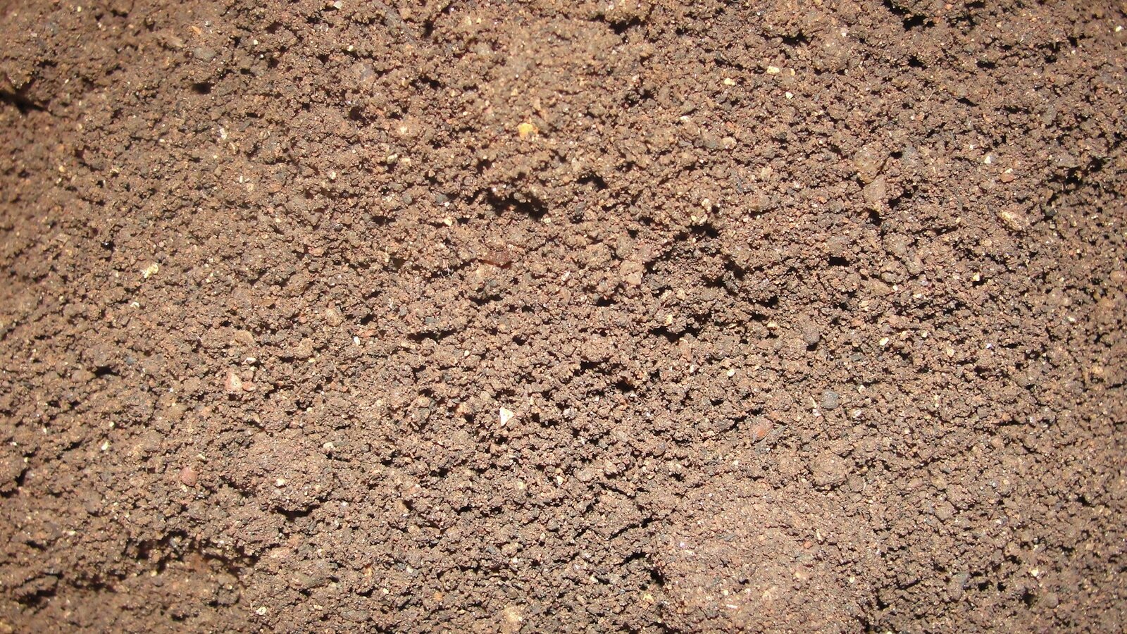 Pirex bio-active organic fertilizer granules